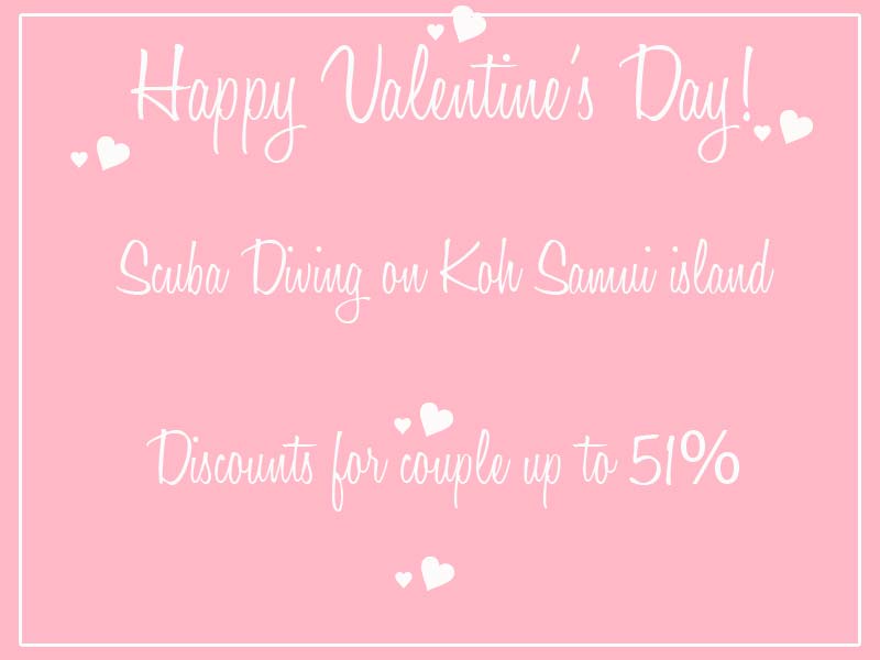 Happy Valentine's Day Discounts up to 51% - Scuba Diving on Koh Samui