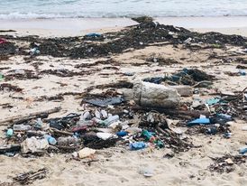 Trash Hero Beach Cleanup Bandon