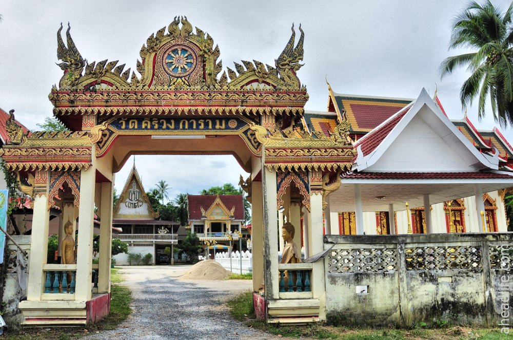 Visit a Thai Temple