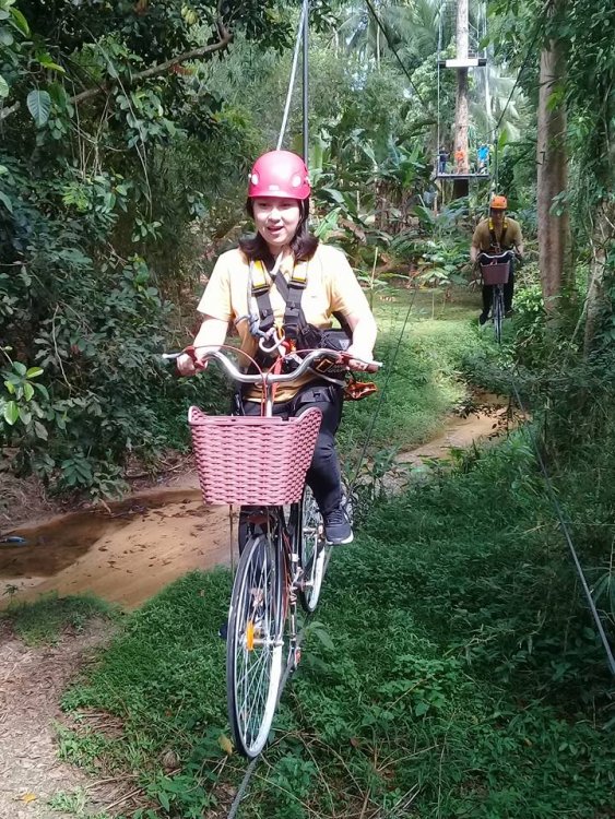 Ride your bike on top of a jungle