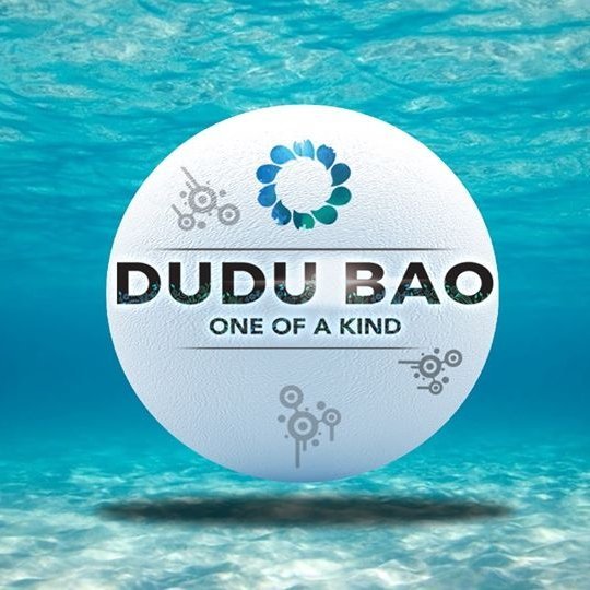Dudu Bao's Friday