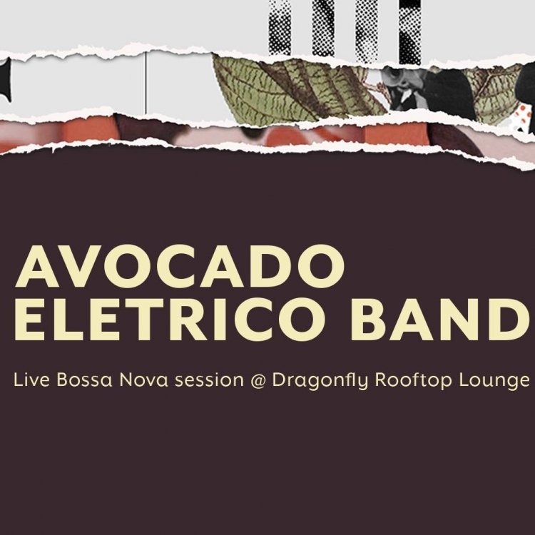 Avocado Eletrico Band | Bossa Nova Session