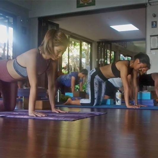 Advanced Teacher Training: Chi Kung and Restorative Yoga