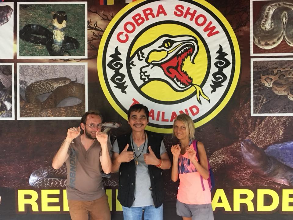 Visit the amazing Cobra Show