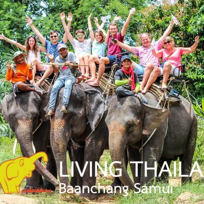Baanchang Livingthailand