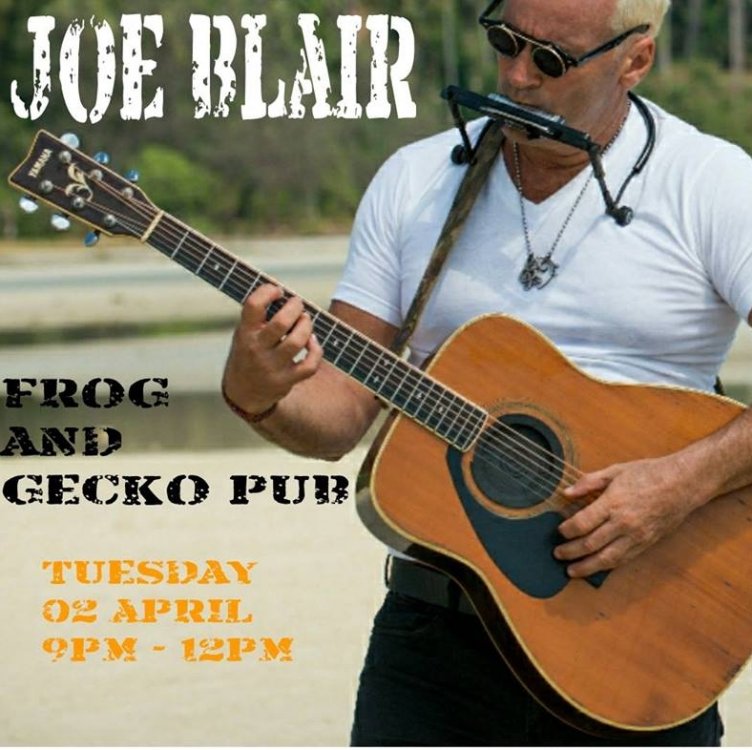 Joe Blair Live at the Frog and Gecko