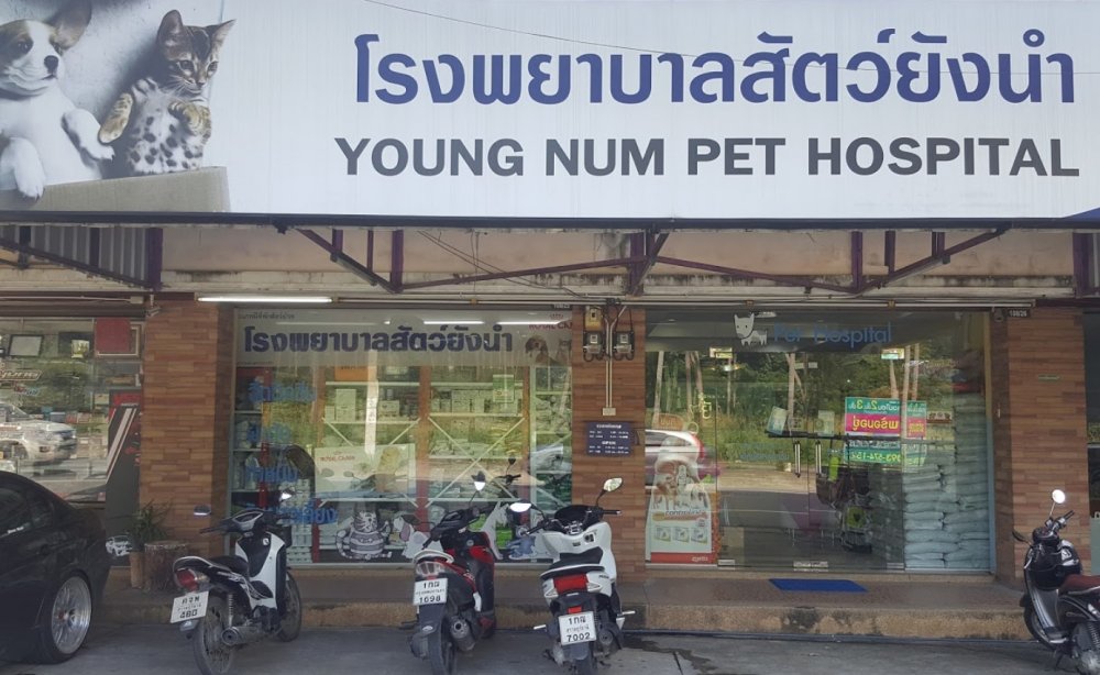 Youngnum Pet Hospital